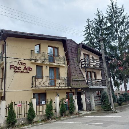 Vila Foc Alb Apartamente-Buşteni Exterior foto