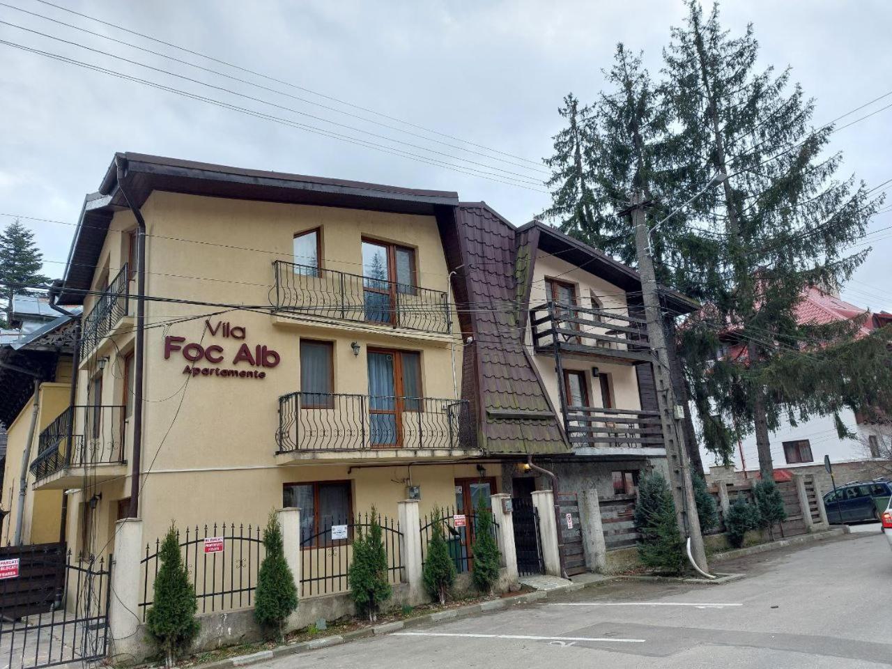 Vila Foc Alb Apartamente-Buşteni Exterior foto