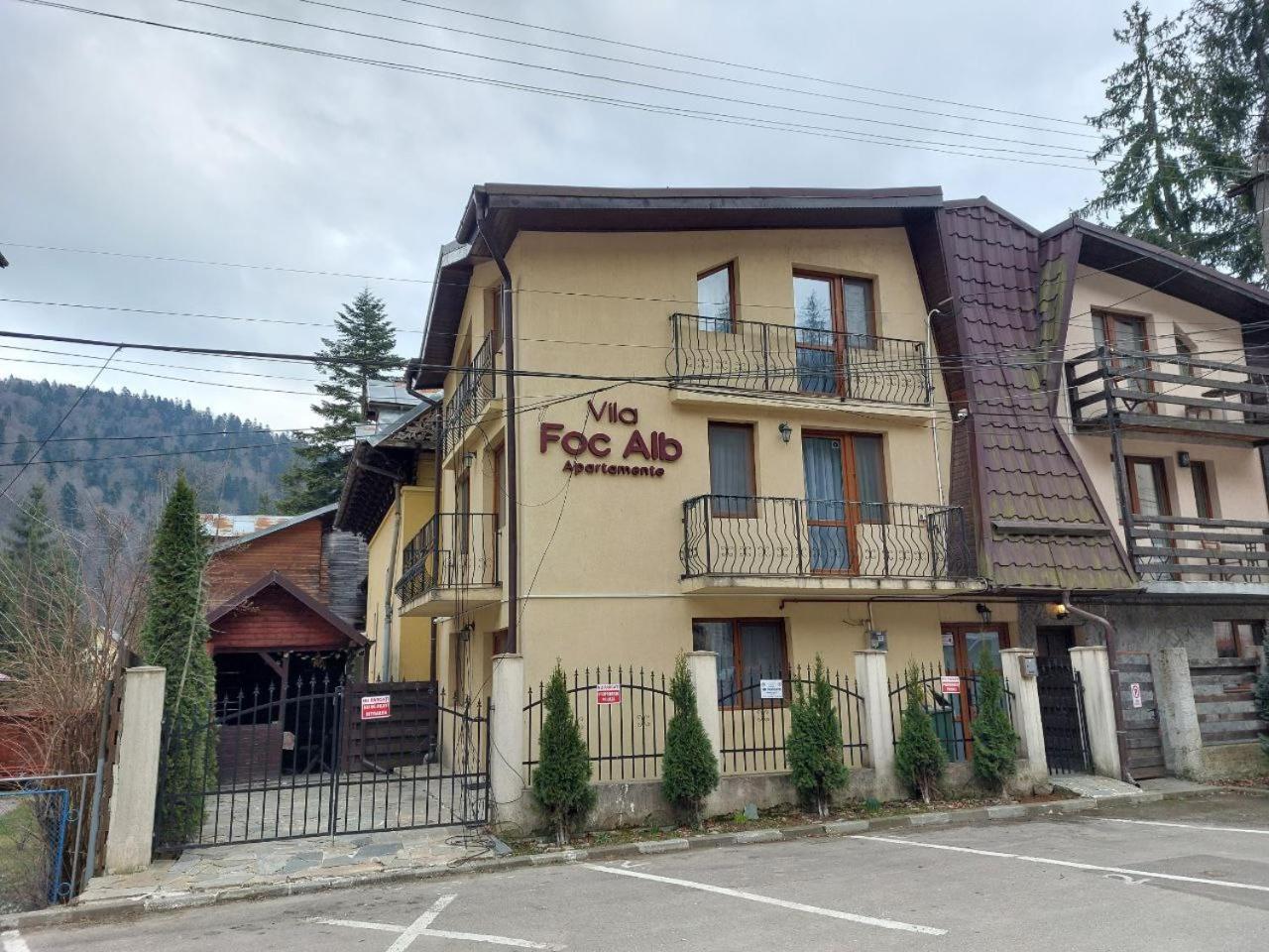 Vila Foc Alb Apartamente-Buşteni Exterior foto